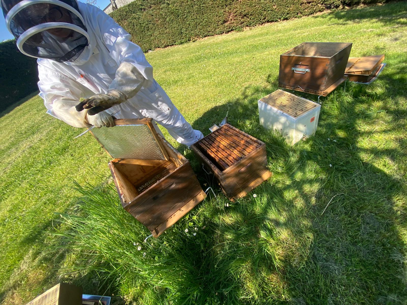 Des ruches sur notre site des Ponts-de-Cé