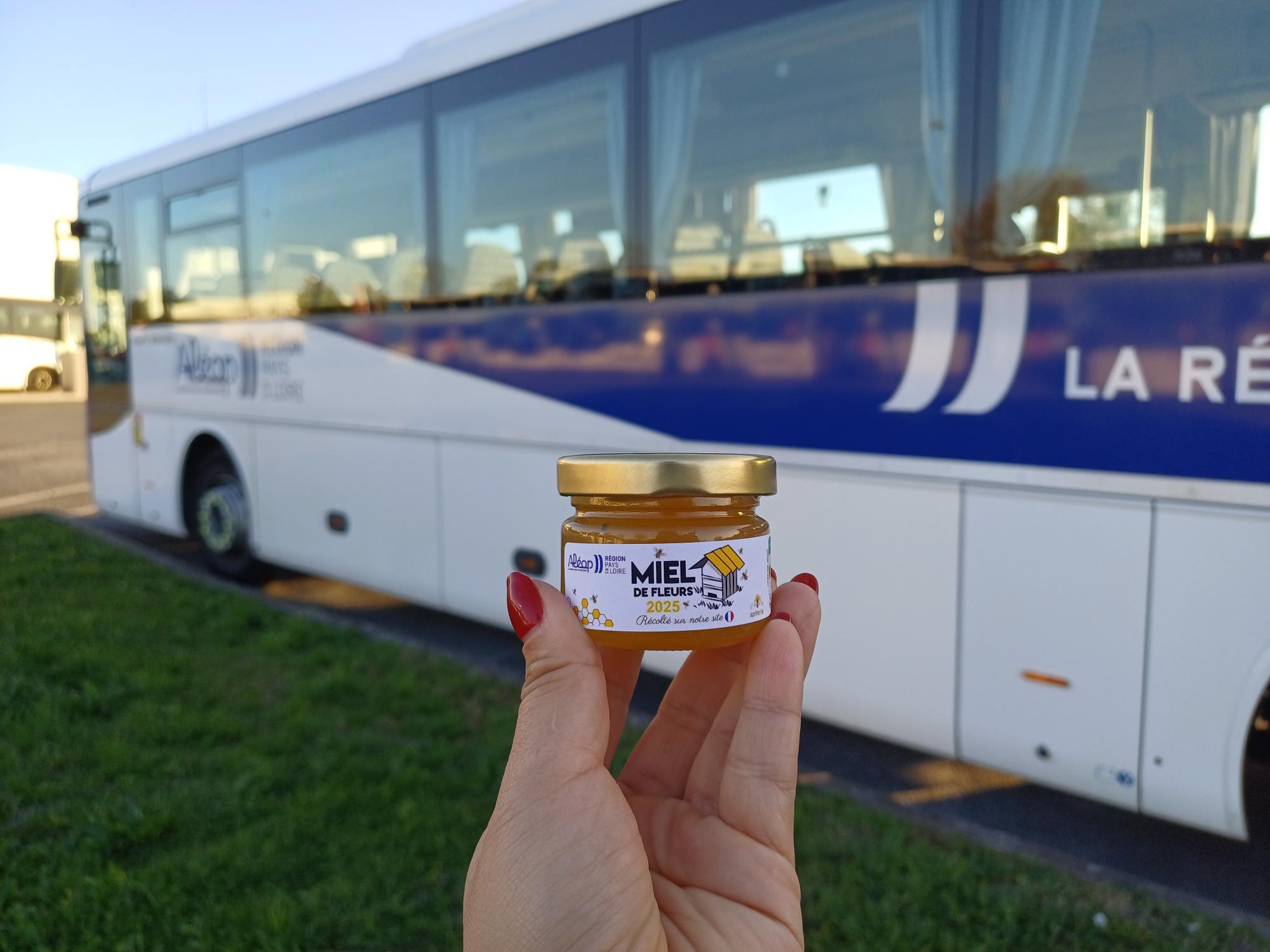 Des ruches sur notre site des Ponts-de-Cé