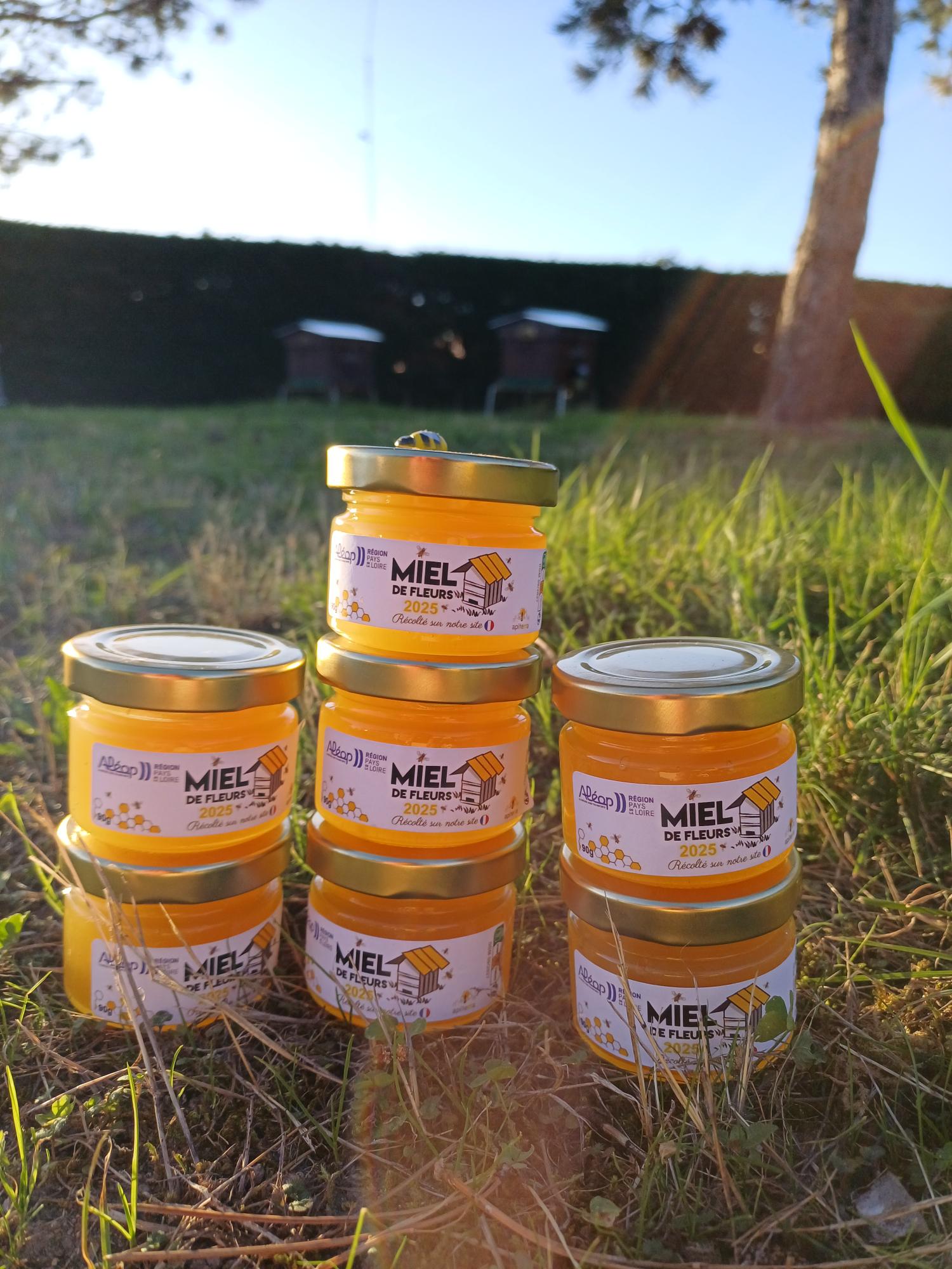 Des ruches sur notre site des Ponts-de-Cé